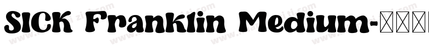 SICK Franklin Medium字体转换